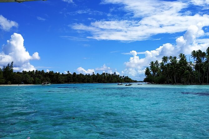 1/2 day Tahaa coral garden - departure Raiatea / ideal for cruise passengers - Walking over coral before the water