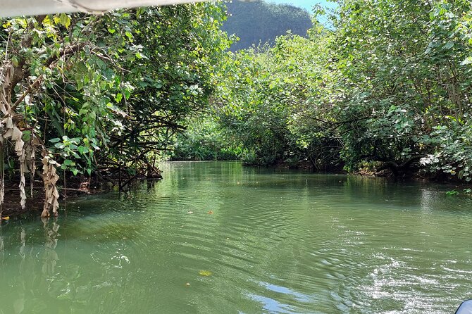 1/2 day "Treasures of Raiatea" by boat - ideal for cruise passengers - Key points to know
