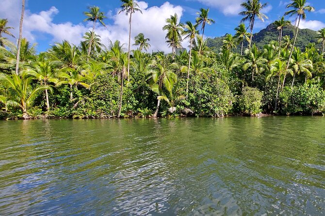 1/2 day "Treasures of Raiatea" by boat - ideal for cruise passengers - A half-day plan that fits a cruise stop