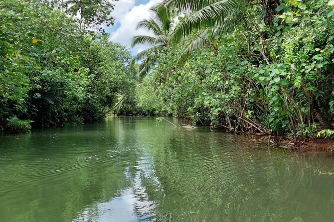1/2 day "Treasures of Raiatea" by boat - ideal for cruise passengers - The lagoon ride between stops