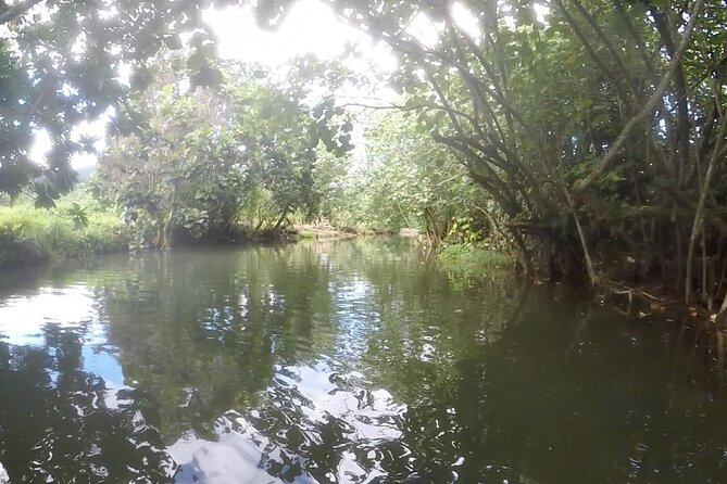 1/2 day "Treasures of Raiatea" by boat - ideal for cruise passengers - Who will enjoy this Raiatea excursion?