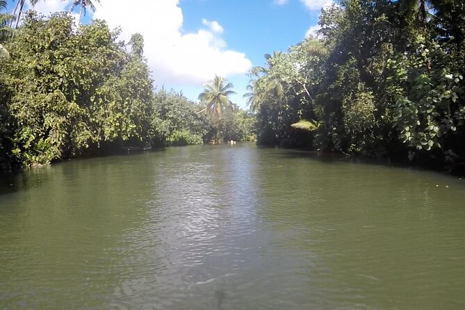 1/2 day "Treasures of Raiatea" by boat - ideal for cruise passengers - Practical advice before you book