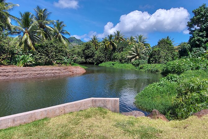 1/2 day "Treasures of Raiatea" by boat - ideal for cruise passengers - Faaroa Bay and the Faaroa River