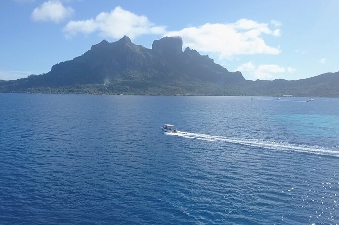2 Dives in the morning for certified divers in Bora Bora - First site: lagoon wildlife and manta rays