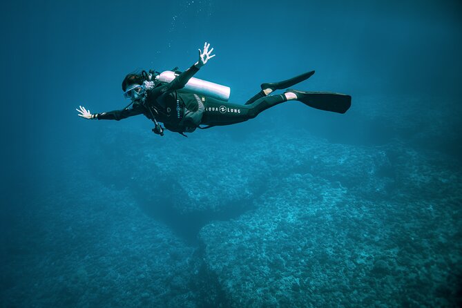 2 Dives in the morning for certified divers in Bora Bora - Equipment, certification, and fitness requirements