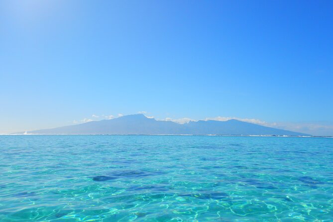 2 hours discovery tour of Moorea by Jet Ski - Meeting stingrays and blacktip sharks near the Motus