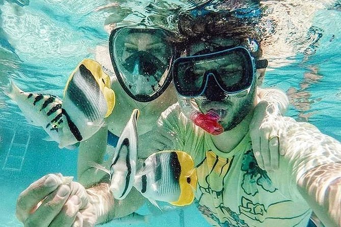 3-hour Lagoon Snorkeling Tour - Private Tour - Key Points Before You Book