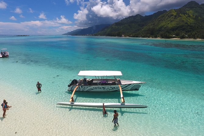 3-hour Lagoon Snorkeling Tour - Private Tour - Fresh Fruit, Juice, and a Slower Middle