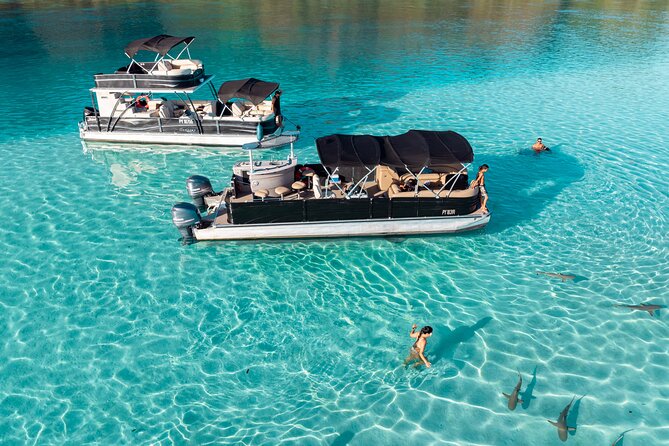 3-Hour Snorkeling Tour - Why the $121.46 price can make sense