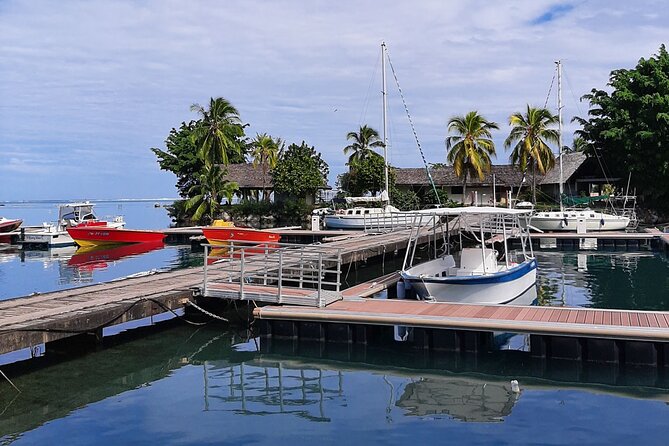 3h dolphin and snorkeling tour in a wild lagoon with Mobydick - Snorkeling in the Lagoon’s Coral Pools