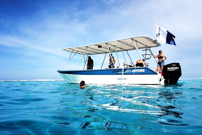 3h dolphin and snorkeling tour in a wild lagoon with Mobydick - A Quiet Alternative to a Crowded Lagoon Trip
