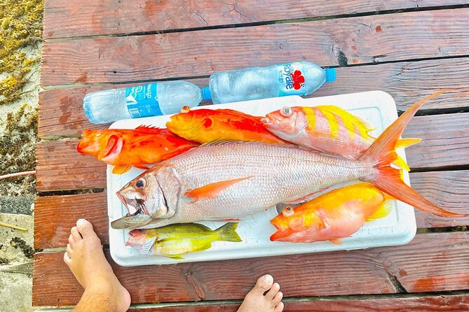 4 Hour Ariki Fishing Activity in Moorea - A four-hour mix of lagoon watching and ocean fishing