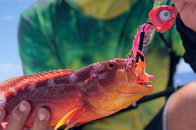 4 Hour Ariki Fishing Activity in Moorea - The thrill of a real fish fight