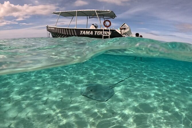 4 Hour Private Humpback Whales Encounter in Moorea - Entering the water when conditions are right