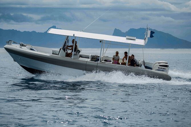 4 Hours of Humpback Whale Watching in Tahiti - Choppy water and the limits of nature