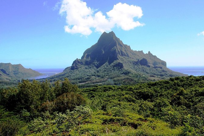4x4 Moorea Safari Tours : With Hotel transfers - Feeding the eels and hearing Moorea’s stories