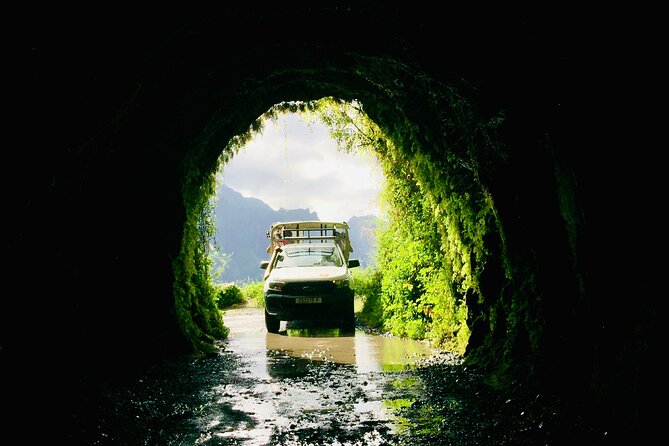 4x4 Safari HEREAKIMANU Tour in the Heart of Tahiti - Guides who add more than directions