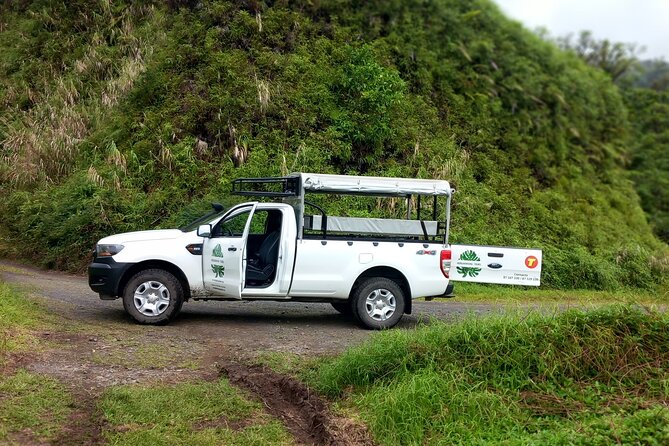 4x4 Safari HEREAKIMANU Tour in the Heart of Tahiti - What the ride really feels like