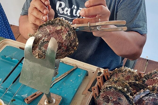 4x4 Tour – Culture, Crafts and Agritourism in Raiatea - The pearl farm: a close look at Tahitian black pearls