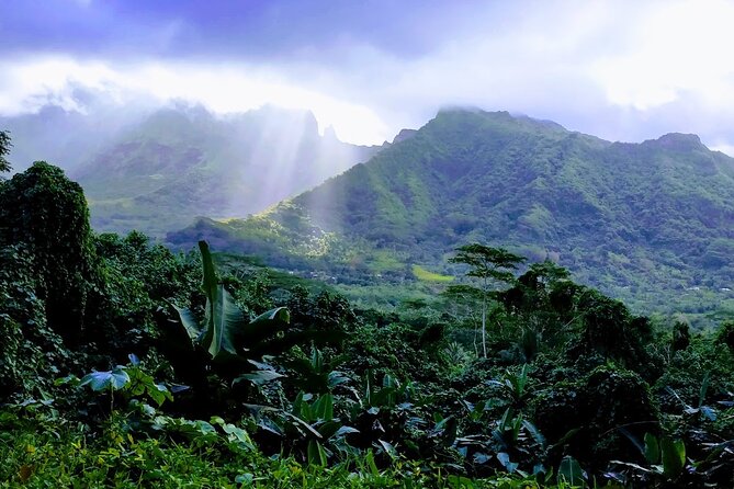 4x4 Tour – Culture, Crafts and Agritourism in Raiatea - Taputapuatea Marae and the Polynesian Triangle