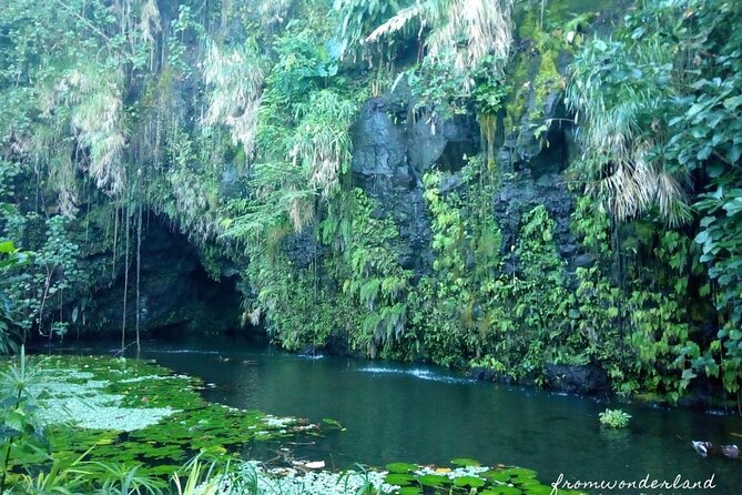 5 Hours Tahiti Island Tour - West and East Coast - Pointe Venus: lighthouse, black sand, and colonial history