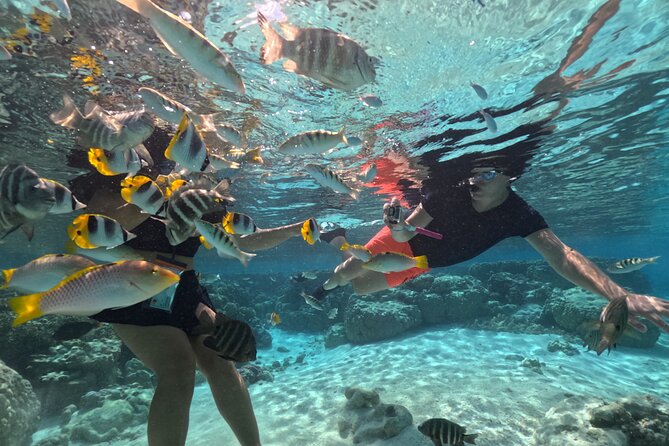 6-Hour JetSki Excursion around Raiatea - Faaroa Bay and Raiatea’s stories