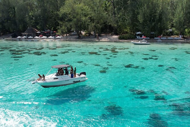 6 Hour Private Boat Activity with Snorkeling & Lunch - Swimming with rays and blacktip sharks