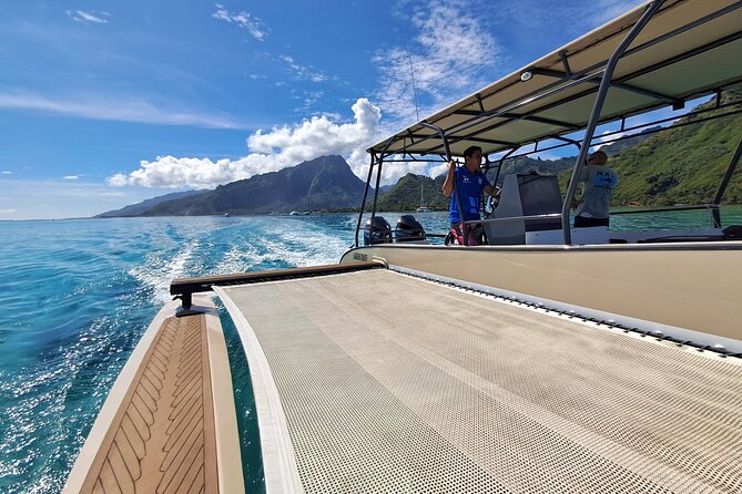 6 Hour Private Boat Activity with Snorkeling & Lunch - Who will enjoy this Moorea boat day?