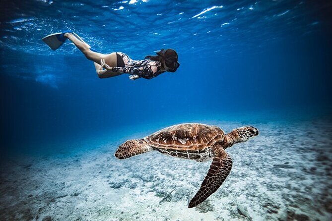 6 Hour Private Boat Activity with Snorkeling & Lunch - Cruising through Cook and Opunohu bays