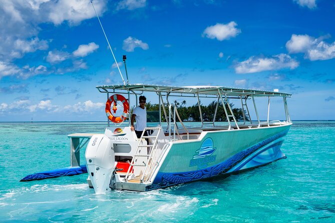A private tour with Blue Lagoon - Key points to know before booking