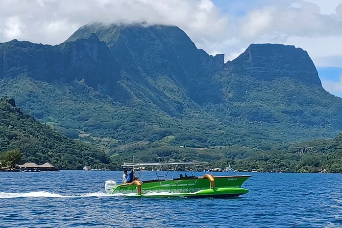 Activity/Excursion Lagoon Tour to Moorea by Canoe 6 hours - Tiki carvings and the sea turtle stop