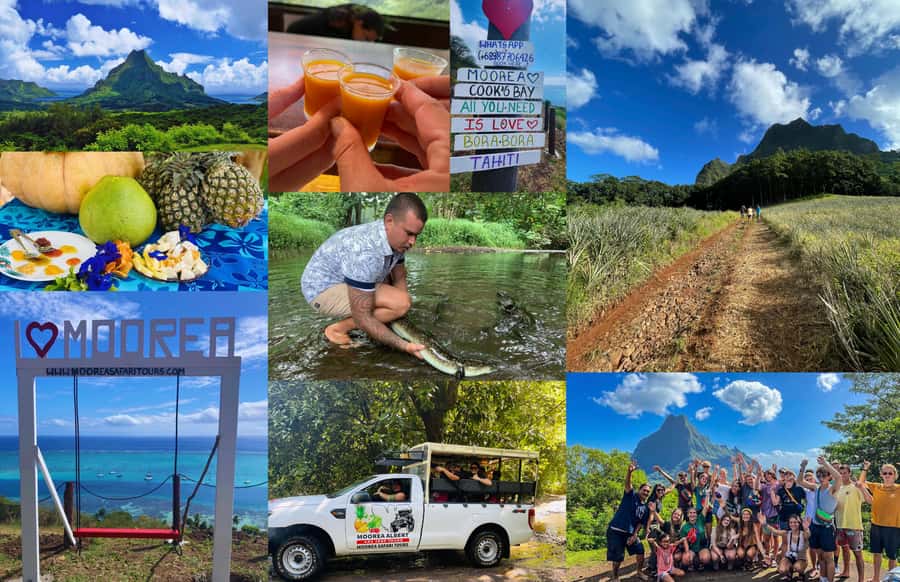 Albert Tours Excursion Safari - Moorea Safari tours&pick up - Starting beside the bays