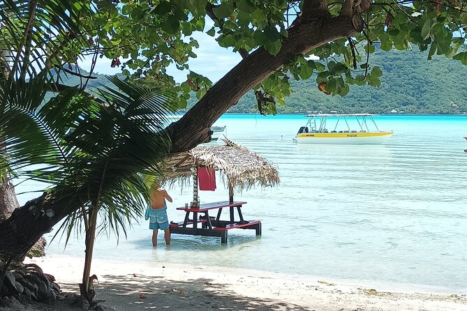 An Immersed Day in Bora Bora with O-sea - A Coral Garden With an Environmental Focus