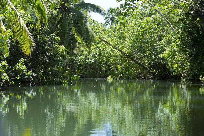 Apetahi day trip around Raiatea on a modern outrigger canoe - Faaroa Bay and the Amazonian river section