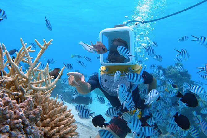 Aqua Safari Introductory Helmet Dive (Underwater Walk) - The safety briefing and helmet descent