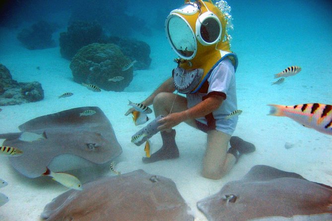 Aquablue Moorea - Who Should Book This Activity?