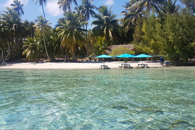 Authentic Polynesian Experience - Who will enjoy this Tahaa day trip?