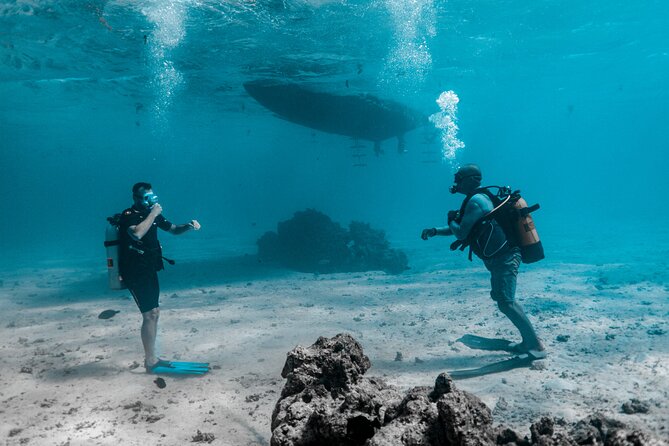 Baptism diving in the turquoise waters of Tahiti - Meeting Tahiti’s sea life below the surface