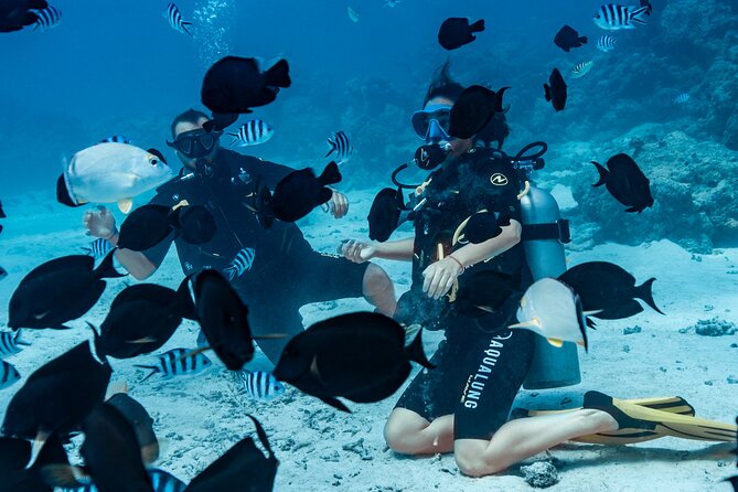 Baptism diving in the turquoise waters of Tahiti - A small boat setting and the photo question