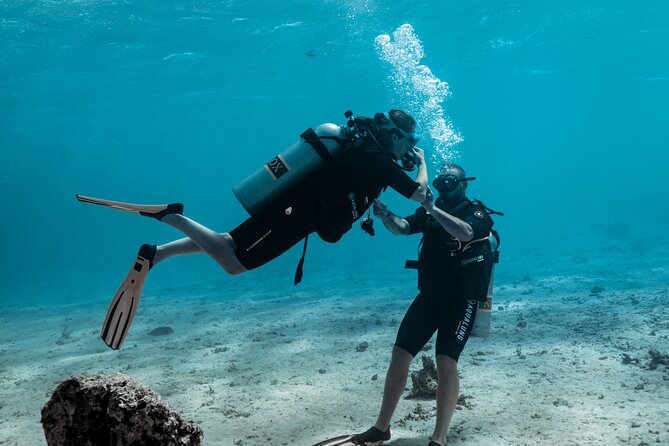 Baptism diving in the turquoise waters of Tahiti - Meeting at the InterContinental Tahiti Resort