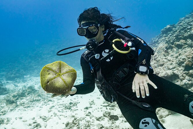 Baptism: introductory dive at Moorea Fun Dive - The real value of the $145.76 price