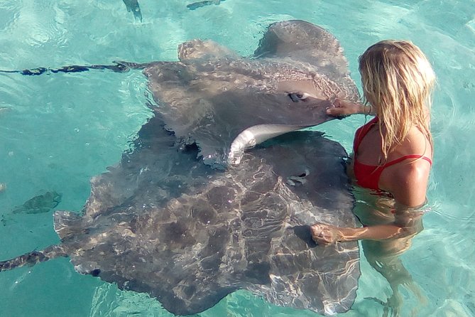 Best Way to Interact with Ocean Wildlife with Lunch. 6H - Lunch on the family’s private motu