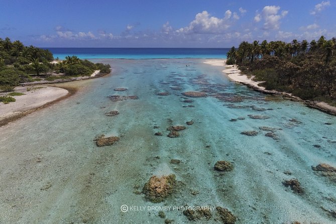 Blue Lagoon - PRIVATE ISLAND Pink sand beach and wildlife reserve - Snorkeling at the Aquarium and other water stops