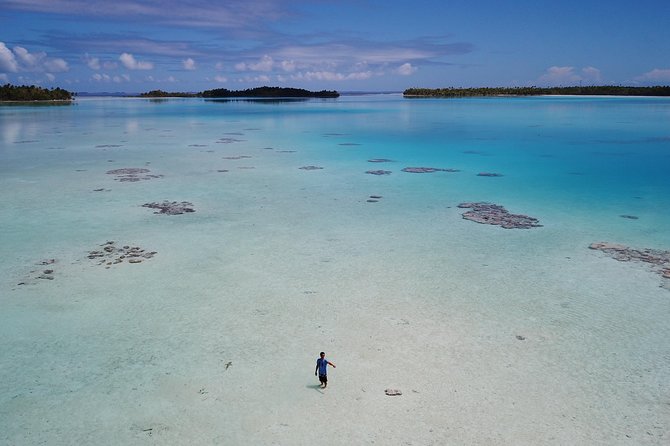 Blue lagoon private tour - The first stop: a blacktip shark nursery