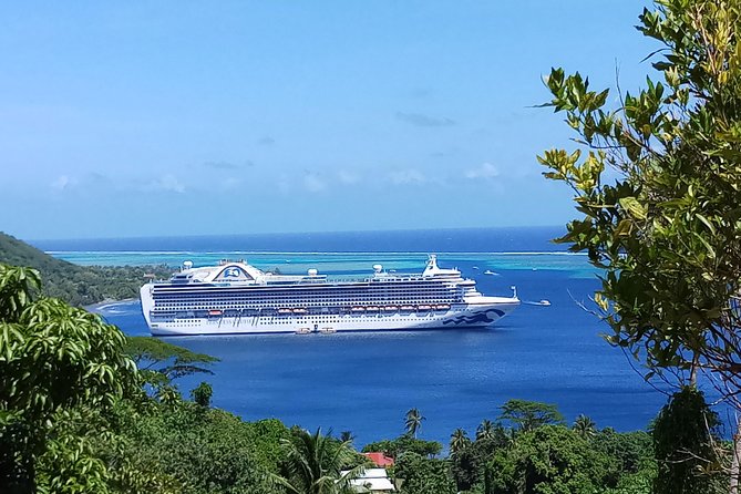Blue Pearl Private Tour - The Belvedere Lookout: the essential first stop