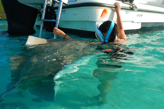 Boat tour 1/2 day Excursion in the lagoon of Moorea - Turtles, stingrays, and black-tip sharks