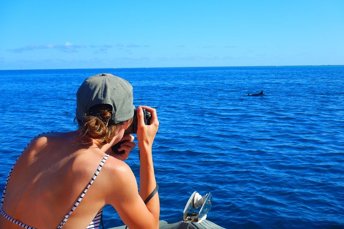 Boat tour 1/2 day Excursion in the lagoon of Moorea - How the guides shape the experience