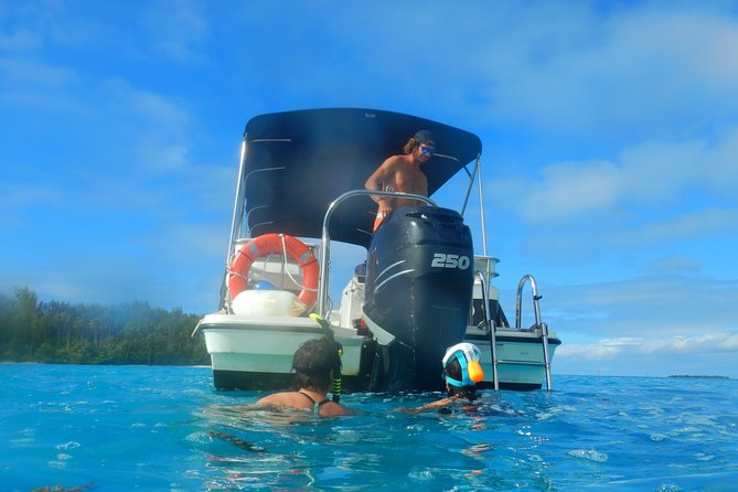 Boat tour 1/2 day Excursion in the lagoon of Moorea - Who will enjoy this Moorea excursion?