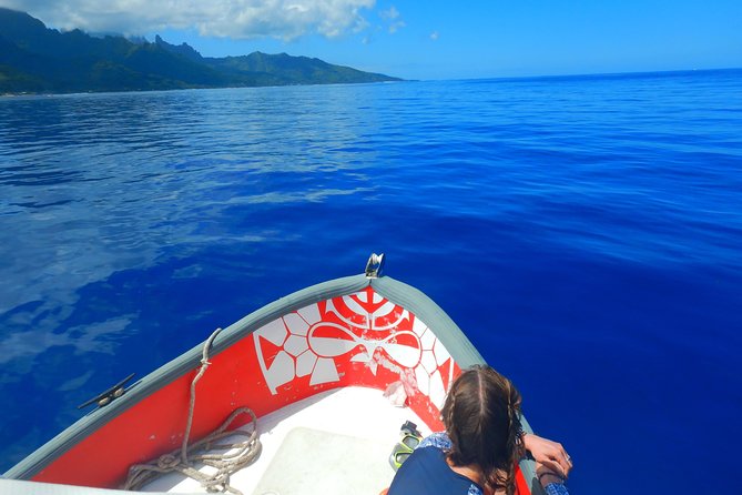 Boat tour 1/2 day Excursion in the lagoon of Moorea - Cook Bay and Opunohu Bay from the boat