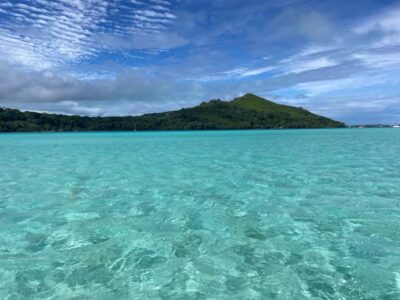 1/2 day Coral Discovery tour – Shared tour